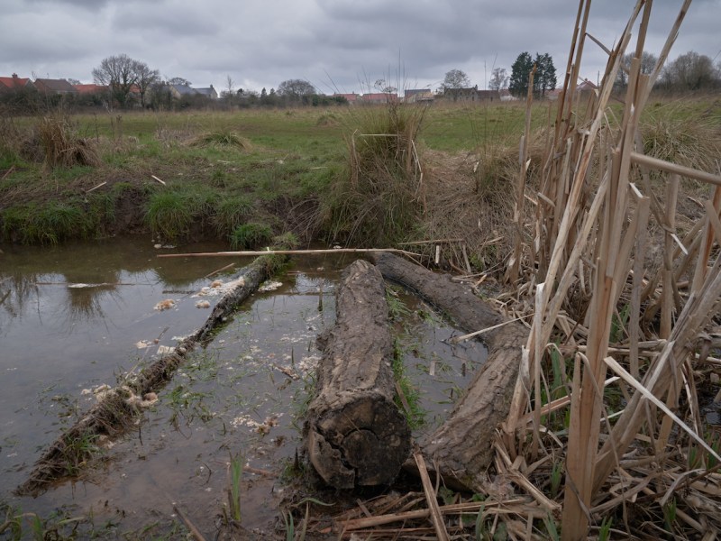 A Journey Through the Ancient Commons of the Bristol Ring&nbsp;Road